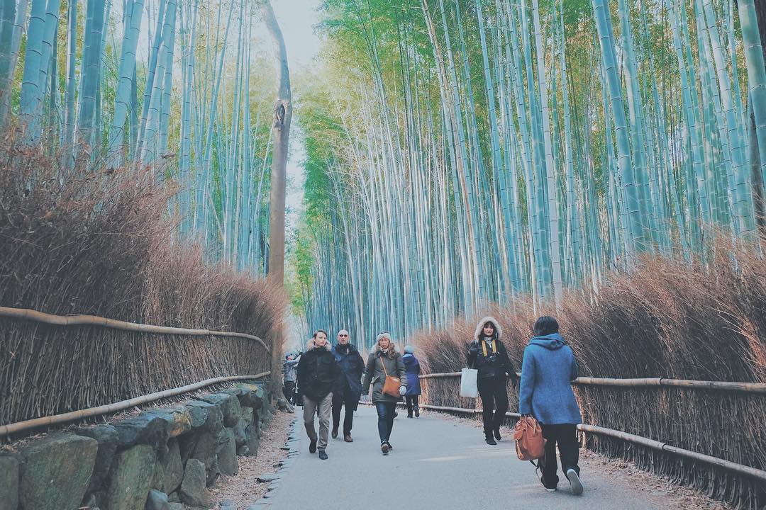 Ternyata Ini Manfaat Wisata Menangis Yang Terkenal di Jepang